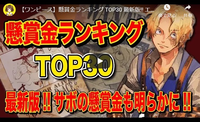 懸賞金ランキングtop30 ワンピースyoutubeまとめ 未来の本棚